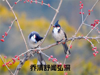乔清舒闻弘深最新章节（乔清舒闻弘深）全文免费阅读无弹窗大结局_乔清舒闻弘深免费阅读（乔清舒闻弘深）