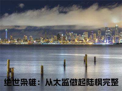 绝世枭雄：从太监做起陆枫免费阅读无弹窗大结局-绝世枭雄：从太监做起陆枫（绝世枭雄：从太监做起陆枫最新全章节大结局）全文阅读