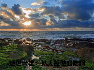 绝世枭雄：从太监做起陆枫在哪看无弹窗全文