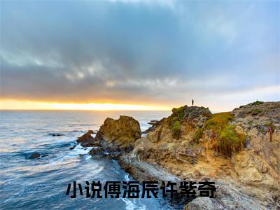 傅海辰许紫奇小说（傅海辰许紫奇）全文免费阅读无弹窗大结局_傅海辰许紫奇小说最新章节列表_笔趣阁（傅海辰许紫奇）