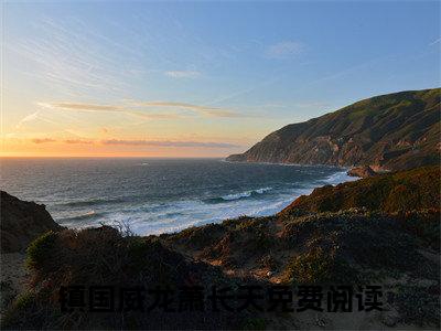 镇国威龙萧长天小说(镇国威龙萧长天)小说全文免费阅读_（镇国威龙萧长天）镇国威龙萧长天最新章节列表