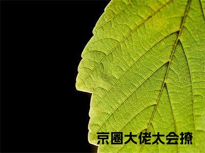 宋安饶祁屿墨（重生退婚后，京圈大佬太会撩）全网首发最火小说-主角重生退婚后，京圈大佬太会撩的小说完整版免费阅读