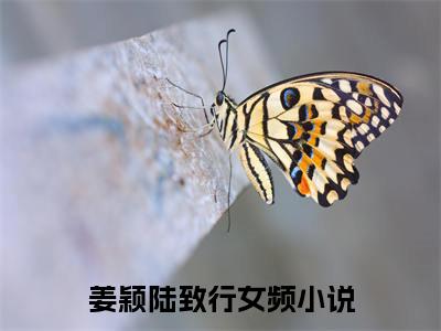 姜颖陆致行小说全文免费阅读无弹窗-（姜颖陆致行阅读无弹窗）穿越小说免费阅读_笔趣阁