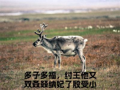 多子多福，纣王他又双叒叕纳妃了殷受小说免费阅读无弹窗-多子多福，纣王他又双叒叕纳妃了殷受（多子多福，纣王他又双叒叕纳妃了殷受）小说免费阅读无弹窗大结局