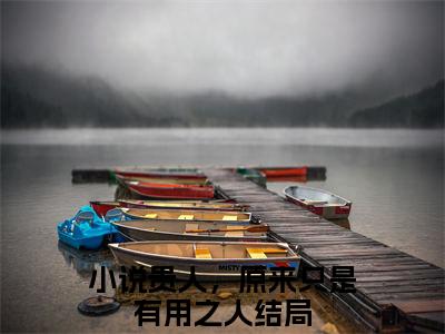 白璃卫长庚（贵人，原来只是有用之人小说）全文免费阅读无弹窗大结局_（贵人，原来只是有用之人）小说最新章节列表