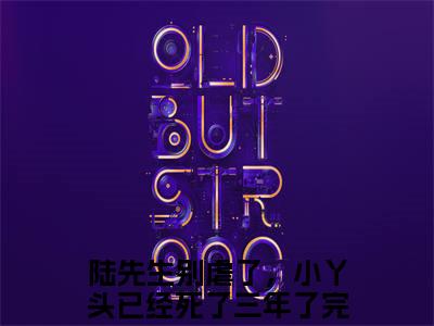 江小渔陆景庭（陆先生别虐了，小丫头已经死了三年了全文免费大结局）在线阅读-陆先生别虐了，小丫头已经死了三年了全文无删减免费赏析