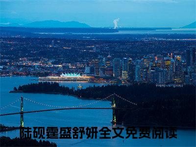 主角是你似利剑入我心的小说全文免费阅读无弹窗大结局-《陆砚霆盛舒妍》完整章节阅读