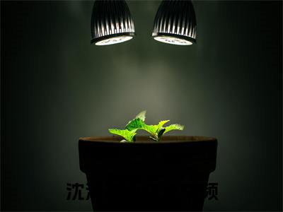 沈清栩傅森丞（沈清栩傅森丞）全文免费阅读最新章节_沈清栩傅森丞免费阅读无弹窗最新章节列表_笔趣阁