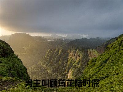 顾筠芷陆时深（顾筠芷陆时深）小说大结局全文免费阅读-顾筠芷陆时深抖音小说