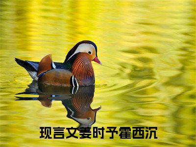姜时予霍西沉小说最新章节（姜时予霍西沉全文免费）小说全集无弹窗大结局_姜时予霍西沉最新章节列表_笔趣阁（姜时予霍西沉）