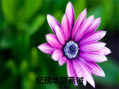 纪琼华贺燕铖（纪琼华贺燕铖）全文免费阅读无弹窗大结局_纪琼华贺燕铖完整版小说阅读（纪琼华贺燕铖）