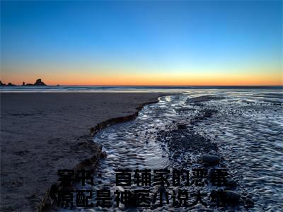 穿书：首辅家的恶毒原配是神医免费完结小说-叶浅浅苏墨阳（穿书：首辅家的恶毒原配是神医）在线阅读全文（穿书：首辅家的恶毒原配是神医）