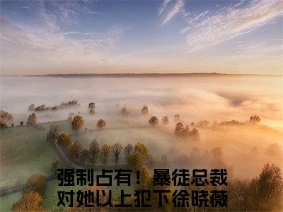 强制占有！暴徒总裁对她以上犯下徐晓薇（强制占有！暴徒总裁对她以上犯下徐晓薇）全文免费阅读无弹窗大结局_强制占有！暴徒总裁对她以上犯下徐晓薇最新章节列表（强制占有！暴徒总裁对她以上犯下徐晓薇）