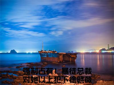 强制占有！暴徒总裁对她以上犯下徐晓薇最新热门榜单小说 强制占有！暴徒总裁对她以上犯下徐晓薇在线阅读