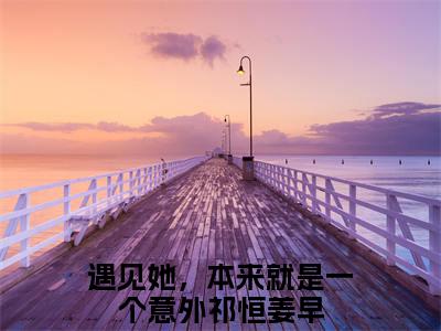 祁恒姜早小说（遇见她，本来就是一个意外）小说全文免费遇见她，本来就是一个意外读无弹窗大结局笔趣阁（祁恒姜早）