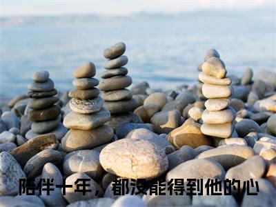 陪伴十年，都没能得到他的心全文免费大结局萧惟砚孟熙颜小说在线阅读