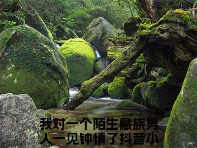 我对一个陌生藏族男人一见钟情了小说（叶嫣然霍经年）全文免费阅读无弹窗大结局_我对一个陌生藏族男人一见钟情了小说最新章节列表