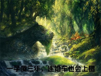 盛誉时颖（一孕傻三年，连婚车也会上错最新章节）在线阅读-免费小说盛誉时颖全文阅读