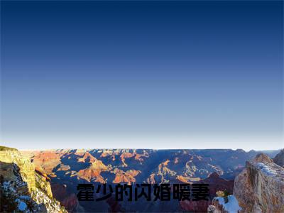 霍少的闪婚暖妻（霍予沉陆微言）全文免费阅读无弹窗大结局_霍少的闪婚暖妻免费最新章节列表_笔趣阁（霍予沉陆微言）