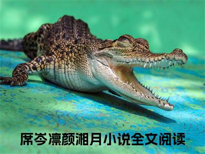 小说《席岑凛颜湘月》全文免费阅读无弹窗-席岑凛颜湘月小说全文在线赏析_笔趣阁