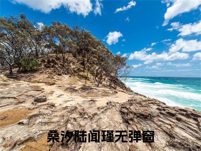 陆闻瑾桑汐免费小说（桑汐陆闻瑾）全文免费阅读无弹窗大结局_桑汐陆闻瑾最新章节列表_笔趣阁
