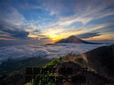青辰全文免费阅读无弹窗大结局-御兽：开局契约瞎眼大熊猫，升级全靠简化全文在线阅读