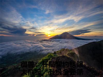 青辰免费阅读无弹窗大结局-御兽：开局契约瞎眼大熊猫，升级全靠简化（最新全章节大结局）全文阅读