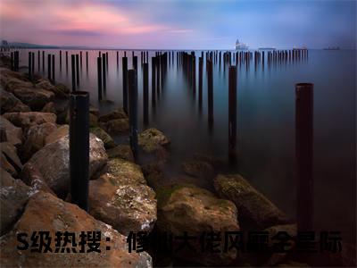 晏音（S级热搜：修仙大佬风靡全星际）热门免费小说-S级热搜：修仙大佬风靡全星际（晏音）精彩小说全文赏析