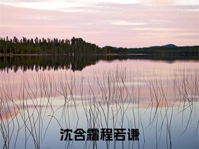 沈含霜程若谦全文(沈含霜程若谦)全文免费阅读无弹窗大结局_沈含霜程若谦全文免费阅读最新章节列表