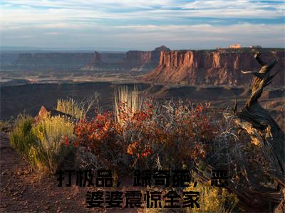 打极品，踩奇葩，恶婆婆震惊全家（林晚凝贺云深）在线阅读的小说完整版-林晚凝贺云深（打极品，踩奇葩，恶婆婆震惊全家）小说免费阅读