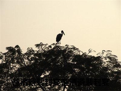 楚清瓷裴封宴（楚清瓷裴封宴）全文免费阅读无弹窗_（楚清瓷裴封宴小说全文免费阅读）楚清瓷裴封宴最新章节列表笔趣阁