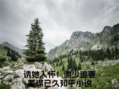 诱她入怀！谢少追妻蓄谋已久谢策温迎小说全文无广告阅读-诱她入怀！谢少追妻蓄谋已久小说赏析谢策温迎