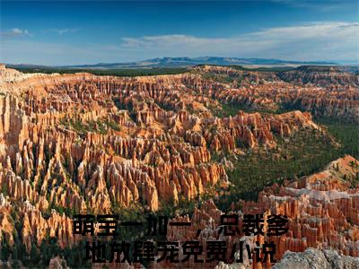 蔺商左薇全文（萌宝一加一，总裁爹地放肆宠）全文免费阅读无弹窗大结局_萌宝一加一，总裁爹地放肆宠最新章节列表_笔趣阁（蔺商左薇）