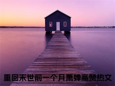 重回末世前一个月萧婵全文免费阅读无弹窗-重回末世前一个月萧婵最新章节列表在线阅读