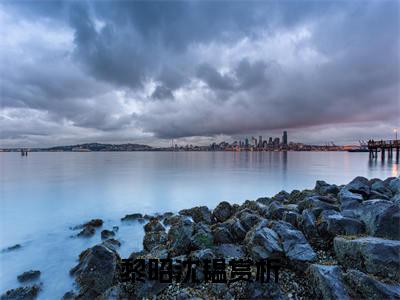 快穿:我当狗比我当女明星还要火（黎昭沈韫）免费全文阅读小说_快穿:我当狗比我当女明星还要火最新章节列表-笔趣阁（黎昭沈韫）