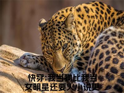 黎昭沈韫全文（快穿:我当狗比我当女明星还要火小说）全文免费阅读无弹窗大结局_快穿:我当狗比我当女明星还要火免费最新章节列表