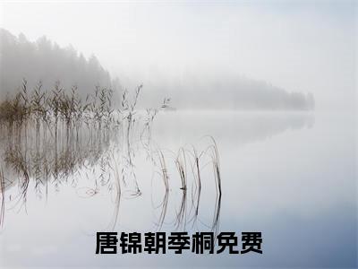 唐锦朝季桐小说（唐锦朝季桐）免费阅读全文-完整版小说（唐锦朝季桐）最新在线阅读
