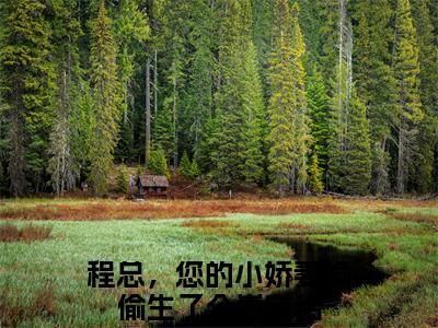 主角是程总，您的小娇妻偷偷生了个崽的小说叫什么名字洛颜程璟精彩结局阅读