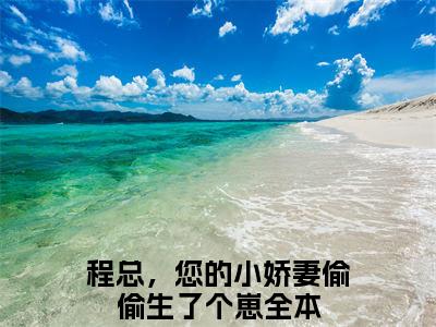 程总，您的小娇妻偷偷生了个崽全文免费阅读大结局洛颜程璟最新章节列表（全文）+（番外）