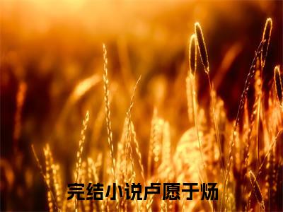 卢愿于炀小说大结局免费阅读，卢愿于炀抖音新上热文分享