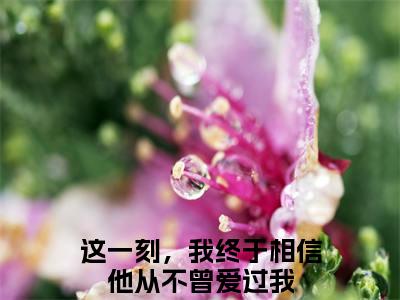 白芸沈言慕小说大结局完整版阅读，这一刻，我终于相信他从不曾爱过我小说全文在线阅读