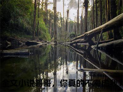 哥哥，你真的不考虑我？精选热门小说徐晋慕棠已完结全集大结局