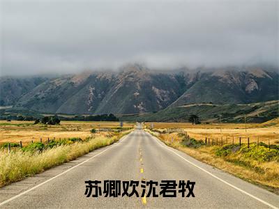 苏卿欢沈君牧完整版最新小说大结局-苏卿欢沈君牧无删版阅读