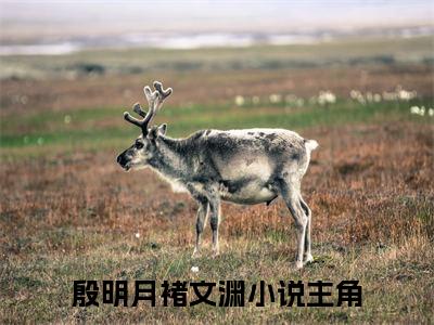 殷明月褚文渊（殷明月褚文渊）全文免费阅读无弹窗大结局_（殷明月褚文渊）最新章节列表笔趣阁