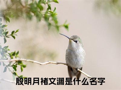 殷明月褚文渊（殷明月褚文渊全文免费）小说全文免费阅读无弹窗大结局_(殷明月褚文渊免费阅读）殷明月褚文渊最新章节列表_笔趣阁（殷明月褚文渊）