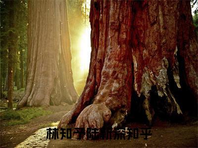 林知予陆靳深（林知予陆靳深精彩美文）免费阅读-小说林知予陆靳深最后结局如何
