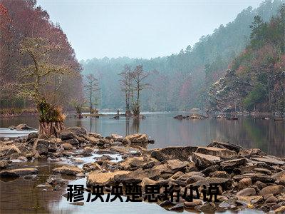 穆泱泱楚思珩满分热推小说-多可笑，是他亲手把爱自己的人弄丢了穆泱泱楚思珩小说全本已完结