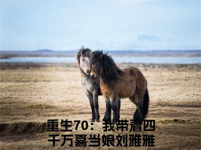 重生70：我带着四千万喜当娘刘雅雅全文（重生70：我带着四千万喜当娘刘雅雅免费阅读）全文免费阅读无弹窗大结局_重生70：我带着四千万喜当娘刘雅雅最新章节列表_笔趣阁（重生70：我带着四千万喜当娘刘雅雅免费阅读）