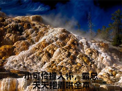 宋琦琦孙熠柠小说（小可怜撞入怀，霸总天天抱着哄）全文免费阅读结局-宋琦琦孙熠柠强推全文阅读无弹窗