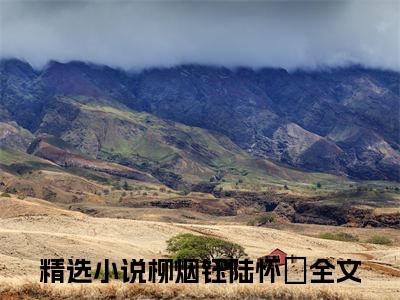 柳烟钰陆怀璟（柳烟钰陆怀璟）全文免费阅读无弹窗大结局_(柳烟钰陆怀璟)免费阅读无弹窗最新章节列表